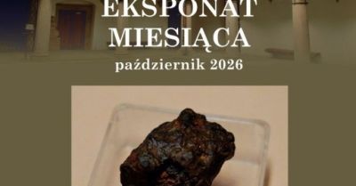 Meteoryt Sericho można oglądać do końca października